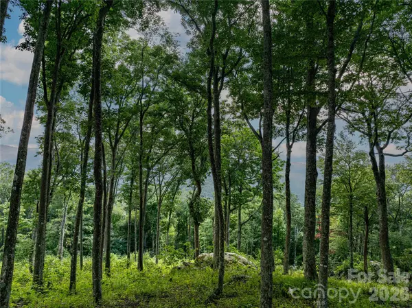 G30 Lodge Woods TRL, Banner Elk, NC 28604