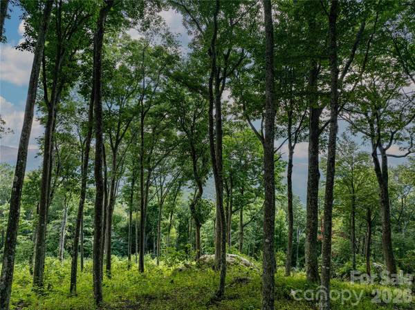 G30 Lodge Woods TRL, Banner Elk, NC 28604