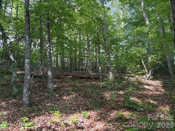 000 Gettys RD, Ellenboro, NC 28040