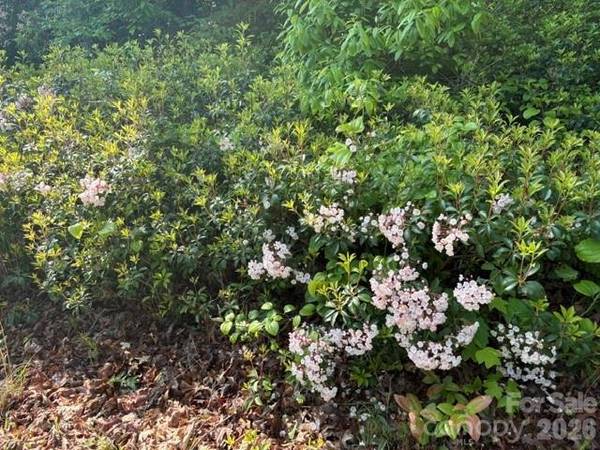 000 Gettys RD, Ellenboro, NC 28040