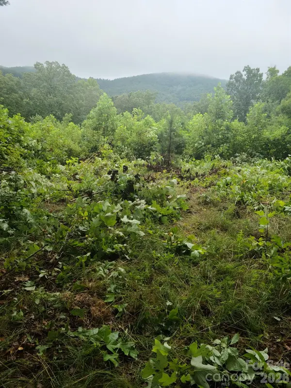 0 Osprey LN, Nebo, NC 28761