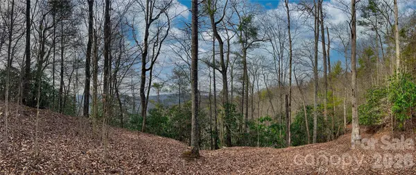 Lot 127 Bear River Lodge TRL, Marshall, NC 28753