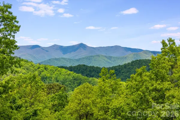 1659 High Rock Acres DR, Black Mountain, NC 28711