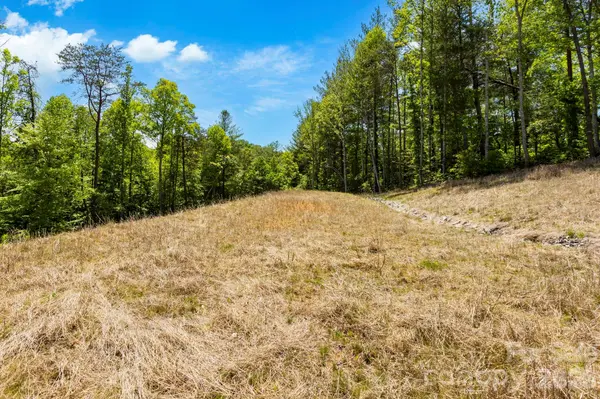151 Riverbend Forest DR, Asheville, NC 28805