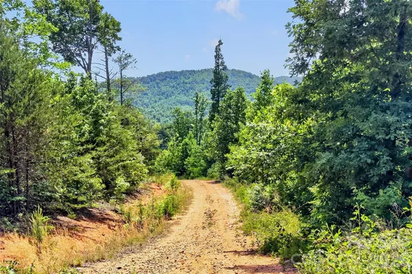 272 Randolph DR, Marion, NC 28752