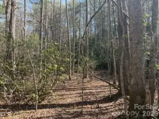 99999 Laura Brooke DR, Penrose, NC 28766