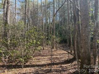 99999 Laura Brooke DR, Penrose, NC 28766