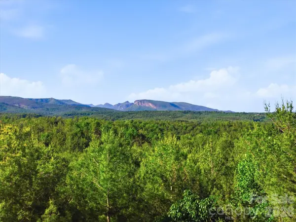V/L Clear Water WAY #95, Nebo, NC 28761