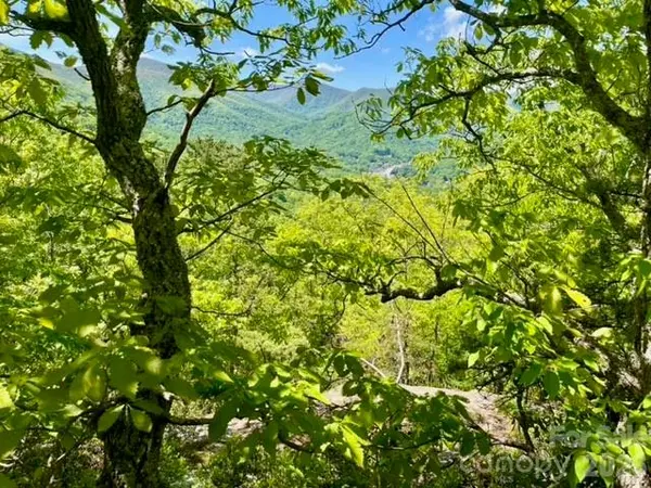 00000 Soco RD, Maggie Valley, NC 28751