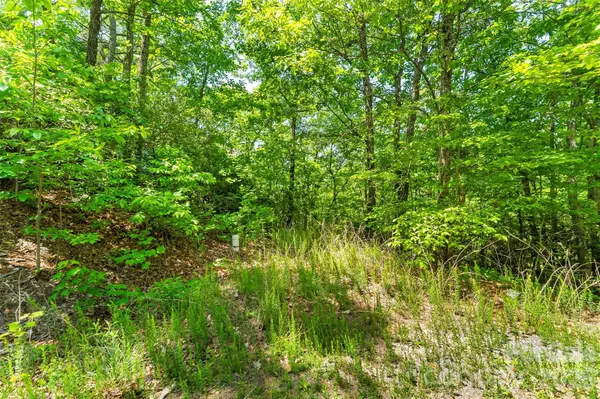 1620 North Haven DR #CC18, Black Mountain, NC 28711