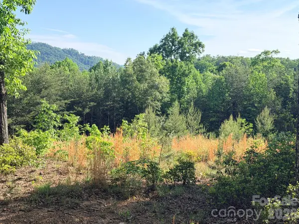 Lot 11 Brookside Pkwy, Lake Lure, NC 28746