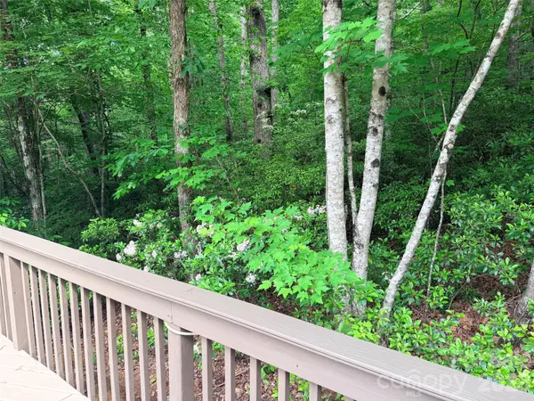 104 Willis WAY, Lake Lure, NC 28746