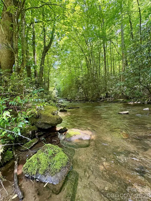 0 Alarka RD #48, Bryson City, NC 28713