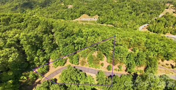 105 Scouts TRL #105, Bostic, NC 28018