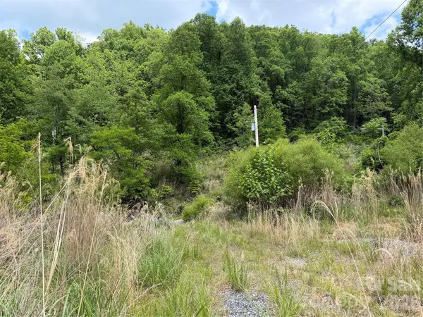 408 Arvil Gosnell RD, Marshall, NC 28753