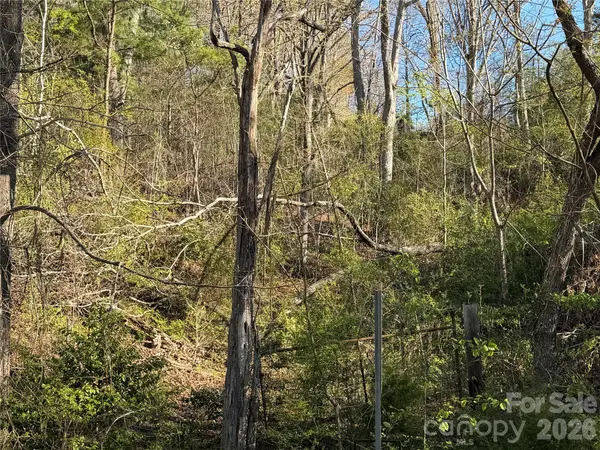 219 Bee Ridge RD, Asheville, NC 28803