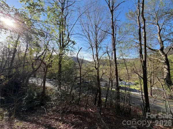 219 Bee Ridge RD, Asheville, NC 28803