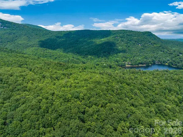 2 Cardinal DR W #TRP 2, Lake Toxaway, NC 28747