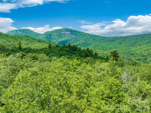 2 Cardinal DR W #TRP 2, Lake Toxaway, NC 28747