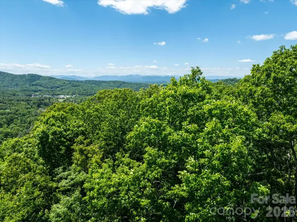 99999 Winding Ridge RD, Fairview, NC 28730
