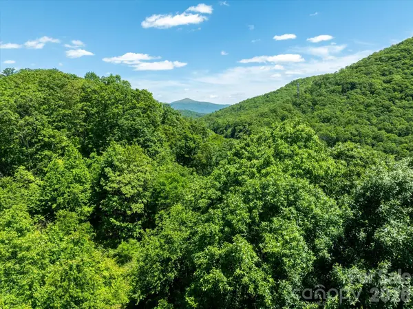 99999 Winding Ridge RD, Fairview, NC 28730