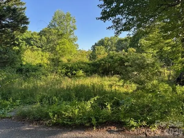 202 Dundee ST, Hendersonville, NC 28791