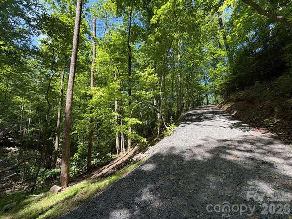 0 Buffalo Shoals RD #1, Lake Lure, NC 28746