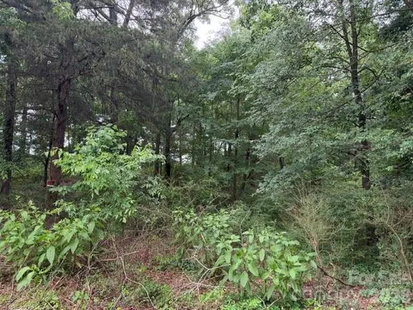 8838 Morgan Mill RD, Monroe, NC 28110