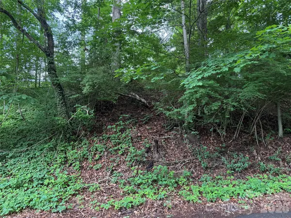 87 Iris ST, Asheville, NC 28803