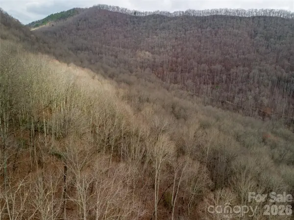 00 Upper Tuskeegee RD, Robbinsville, NC 28771