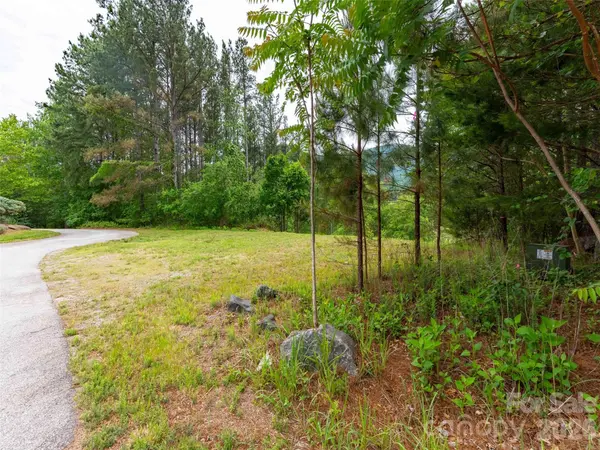 Lot 73 Chestertown DR #73, Mill Spring, NC 28756