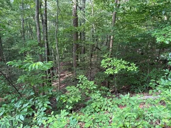 00 Cardinal CIR, Tryon, NC 28782