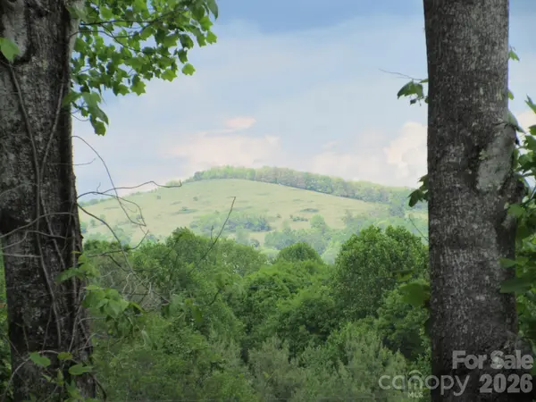 0 Rocky Top TRL #4, Hot Springs, NC 28743