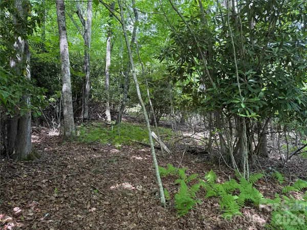 0000 Hardwood Summit DR #191, Hendersonville, NC 28739