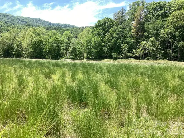00 Bolens Creek RD, Burnsville, NC 28714