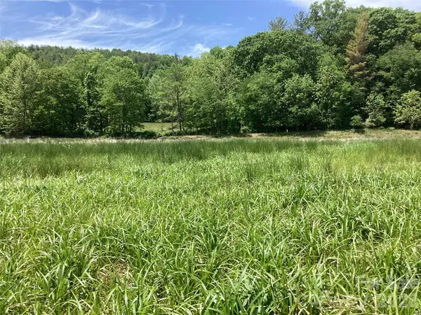 00 Bolens Creek RD, Burnsville, NC 28714