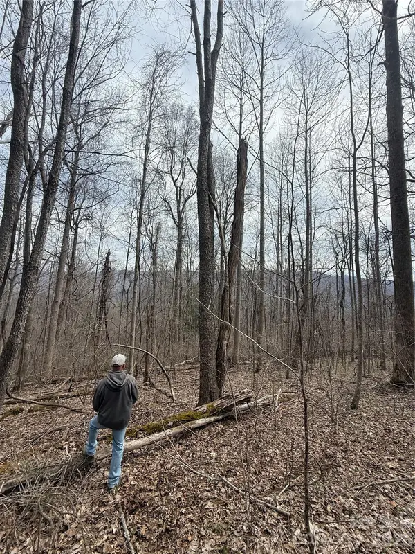 000 Caldwell Mountain RD, Hot Springs, NC 28743
