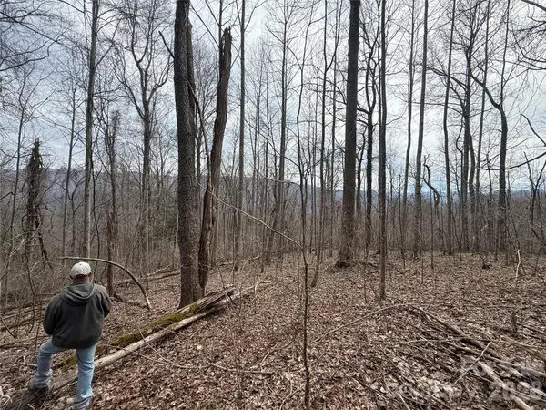 000 Caldwell Mountain RD, Hot Springs, NC 28743
