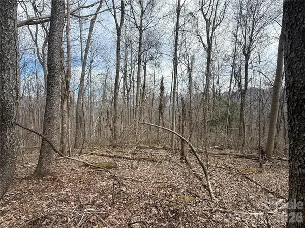000 Caldwell Mountain RD, Hot Springs, NC 28743
