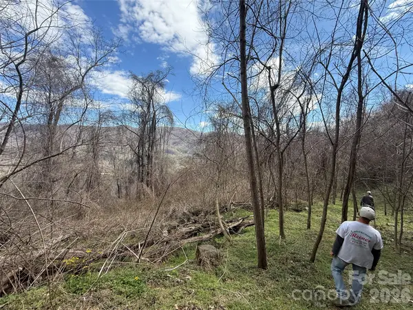 000 Caldwell Mountain RD, Hot Springs, NC 28743