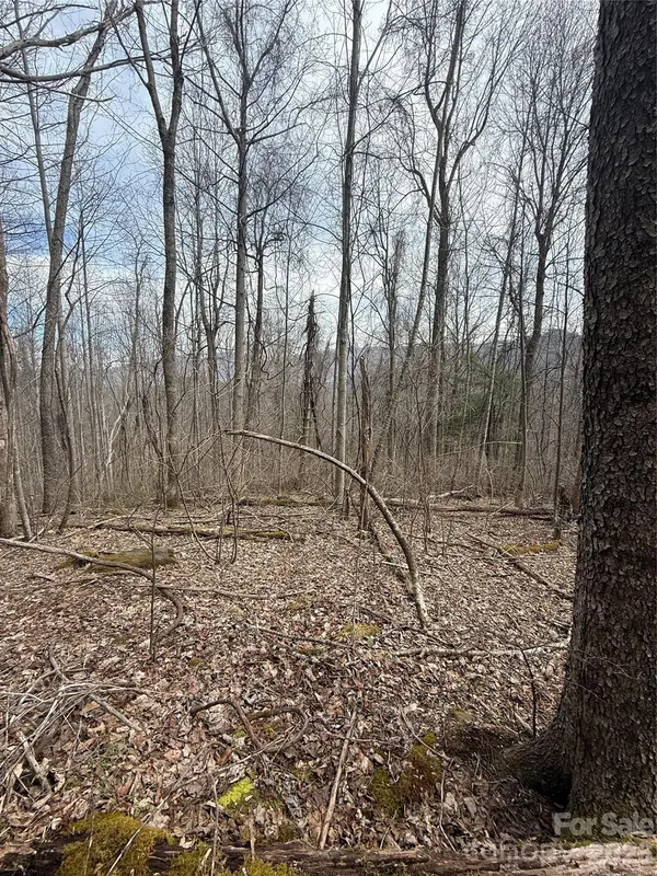 000 Caldwell Mountain RD, Hot Springs, NC 28743