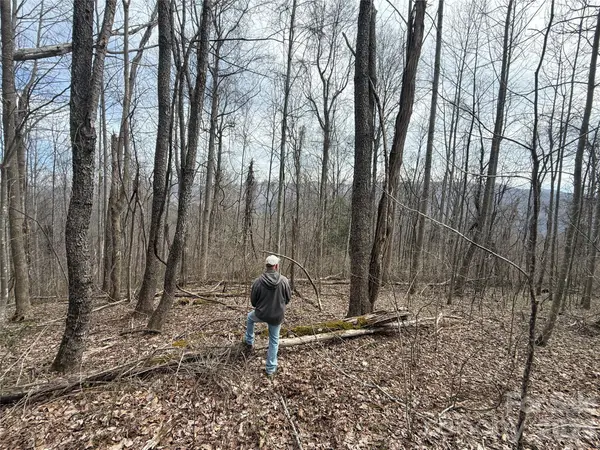 000 Caldwell Mountain RD, Hot Springs, NC 28743