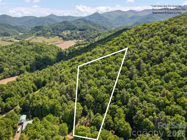 102 Serenity LN, Clyde, NC 28721