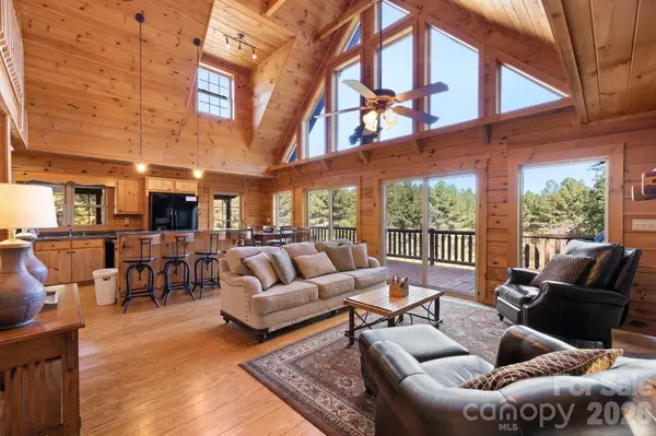 105 Palisade DR, Mill Spring, NC 28756