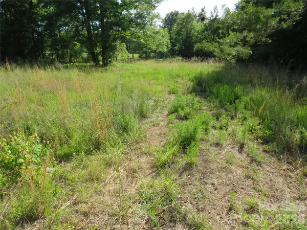 0 Blue Sapphire LN, Rutherfordton, NC 28139