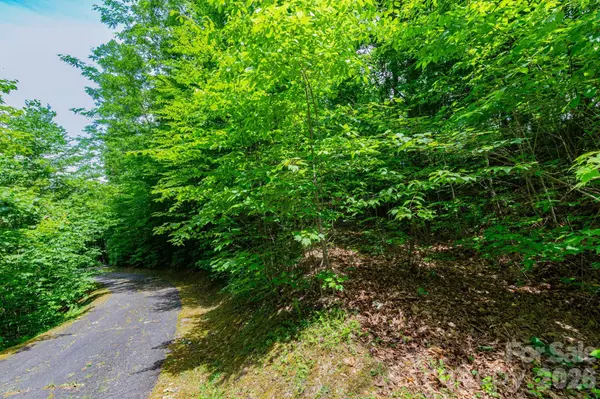 46 Widgeon WAY, Whittier, NC 28789