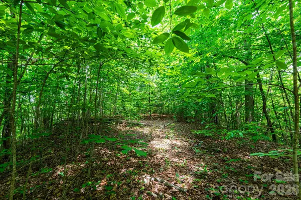46 Widgeon WAY, Whittier, NC 28789