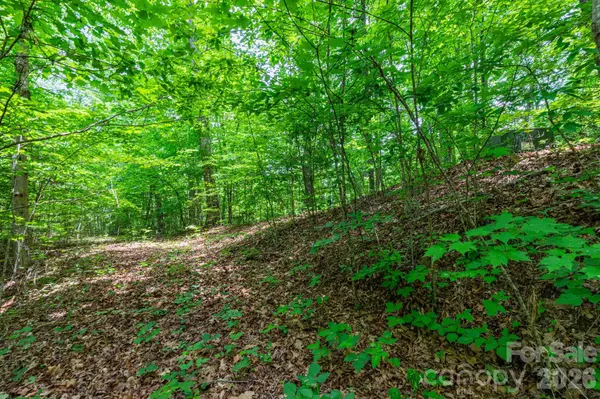 46 Widgeon WAY, Whittier, NC 28789