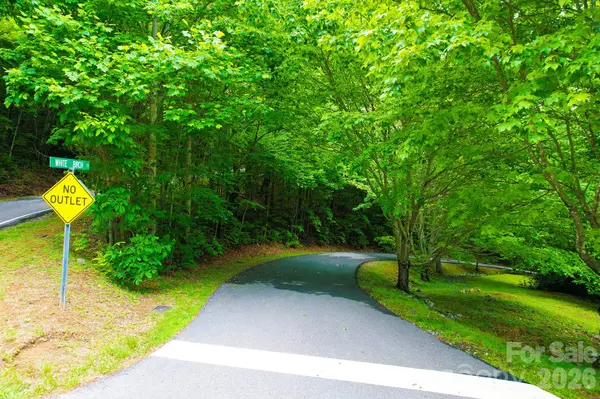 4 White Birch CT #422, Black Mountain, NC 28711