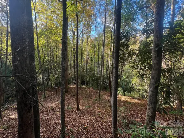 6 Dividing Ridge TRL #01, Arden, NC 28704